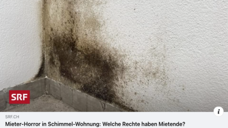 Schimmel in der Wohnung